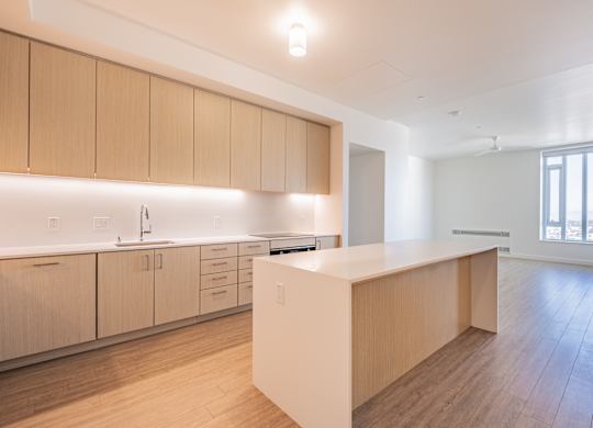 A kitchen with wooden cabinets and a counter.