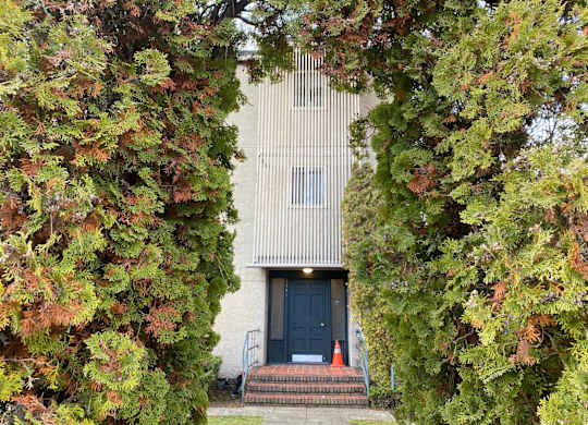 A building with a black door is surrounded by trees.
