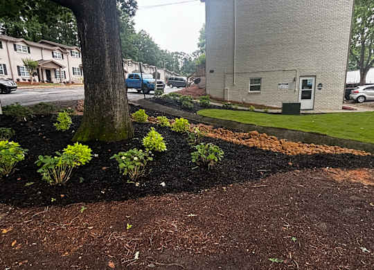A tree in a flower bed in front of a building at Waverly Manor Townhomes, Norcross