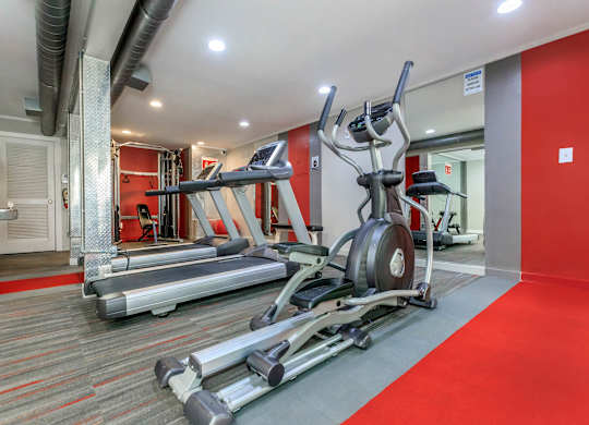 A gym with treadmills and weights.