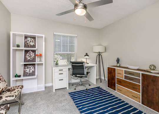 A room with a desk, chair, and shelves.