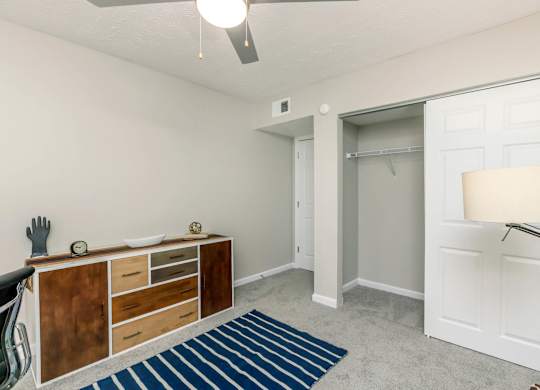 A room with a white door, a brown cabinet, and a blue rug.