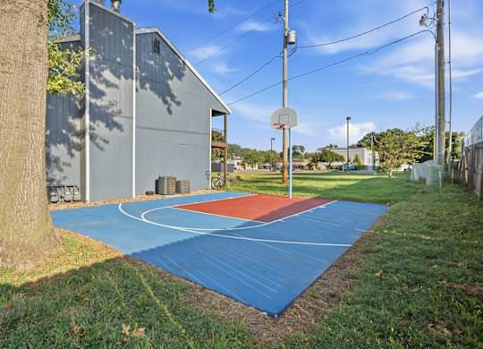 A basketball court with a blue surface and white lines is surrounded by grass and a tree.