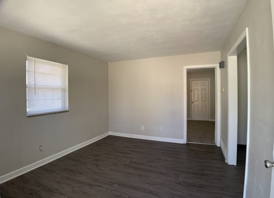 Spacious living room with vinyl flooring