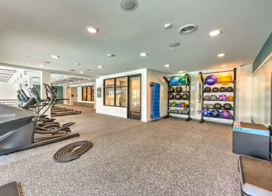 the gym at Pinnacle Apartments, Jacksonville, FL, 32256