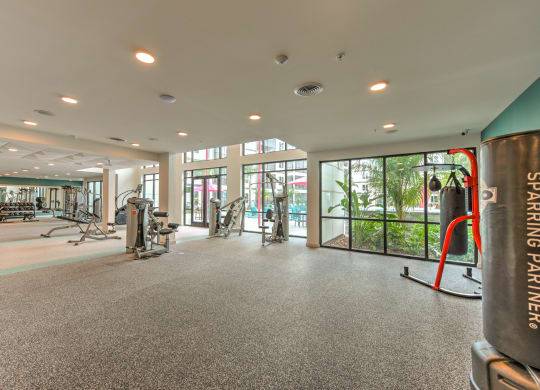 the gym at the preserve at ballantyne commons at Pinnacle Apartments, Jacksonville, FL, 32256