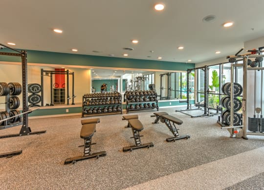 Modern Fitness Center at Pinnacle Apartments, Jacksonville, FL