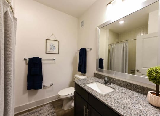 Bathroom with Toilet and Sink at Fountainhead, Jacksonville, FL, 32258