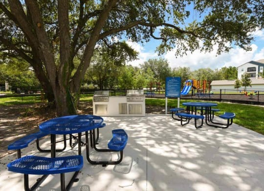 Picnic Area with Blue Tables at Fountainhead, Jacksonville, FL, 32258
