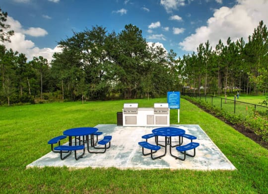 Picnic Area in Courtyard at Fountainhead, Jacksonville, FL, 32258