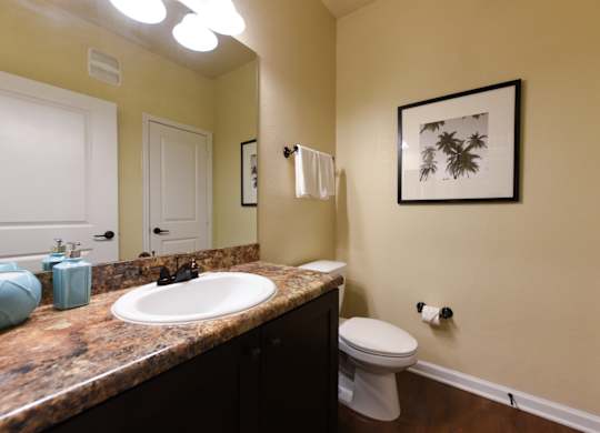 A bathroom with a toilet, sink, and mirror at Cabana Club - Galleria Club Apartments, Florida