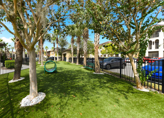 Dog Park at Hacienda Club, Florida