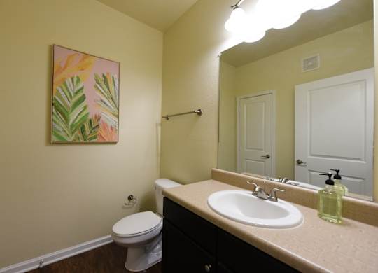 A bathroom with a toilet, sink, mirror, and a painting on the wall at Cabana Club - Galleria Club Apartments, Jacksonville