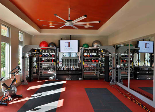 a home gym with a red ceiling and black and white rug  at Luxor Club, Florida
