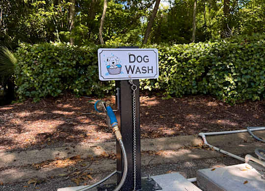 A sign that says Dog Wash is on a pole.