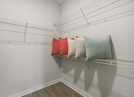 Walk in Closetat Pinnacle Apartments, Jacksonville, FL