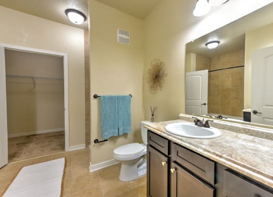 a bathroom with a sink and a toilet and a shower at Hacienda Club, Florida, 32256