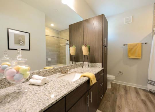 a bathroom with a sink and a mirror  at Luxor Club, Jacksonville