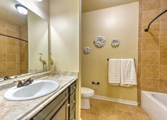a bathroom with a sink and a toilet and a shower at Hacienda Club, Jacksonville, Florida