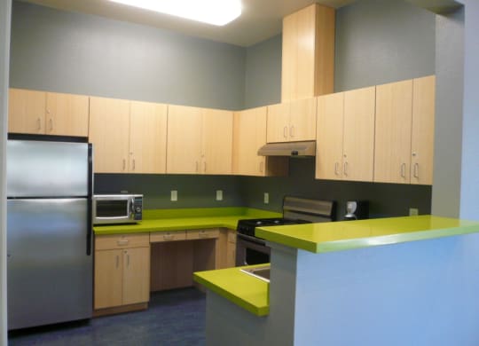 Rec Room Kitchen