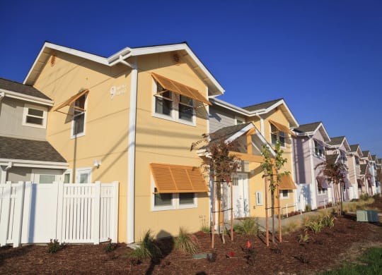 Mutual Housing at the Highlands units, landscaping
