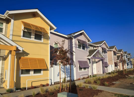 Mutual Housing at the Highlands units, landscaping, sidewalk