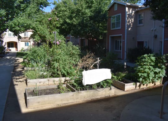 Community Garden at Lemon Hill