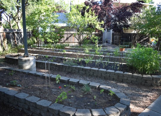 Moore Village Mutual Housing Community community garden bed