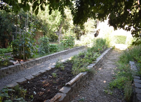 Moore Village Mutual Housing Community community garden bed