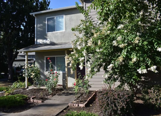 Mutual Housing at Sky Park exterior photo - units and lawn/pathway