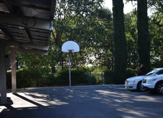 Tremont Green Mutual Housing Community basketball hoop