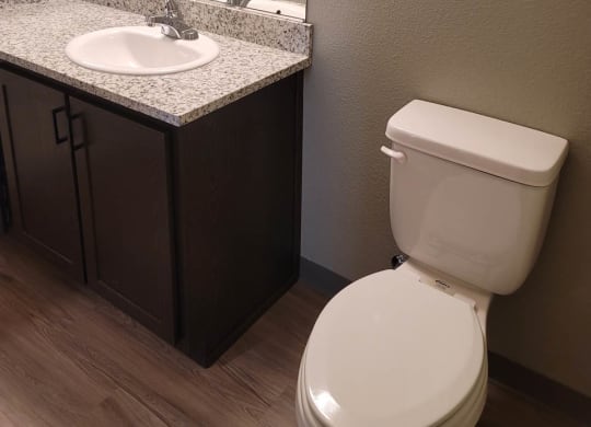 Bathroom with dark cabinets, granite counter, and white toilet.