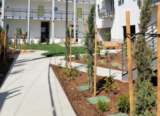 Interior courtyard at Lavender showing concrete pathways, green space, and trees with 4 story white building in background.