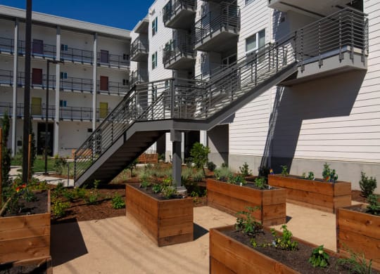 Community garden raised beds in central courtyard with large staircase in background.