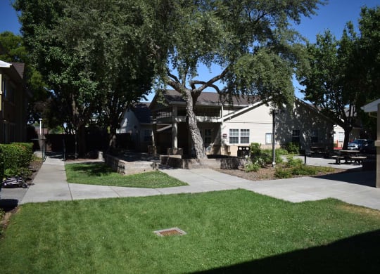 Courtyards at Norwood