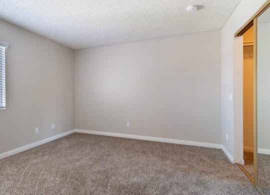 an empty room with a mirror and a carpeted floor