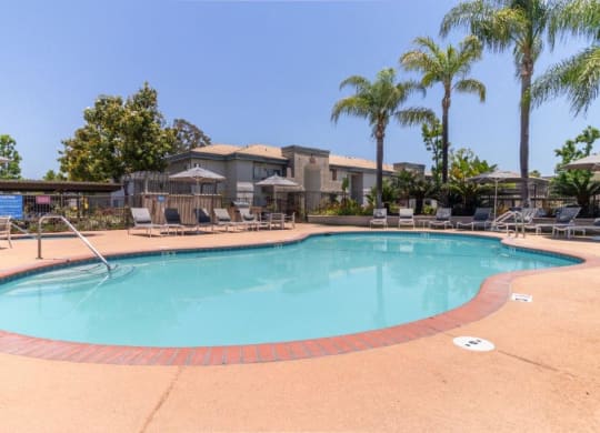 a swimming pool with chairs and palm trees