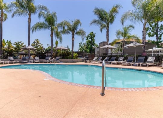 a swimming pool with chairs and palm trees