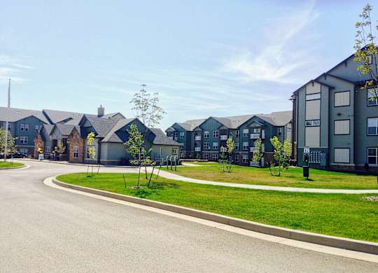 A row of houses with a tree in front of them.