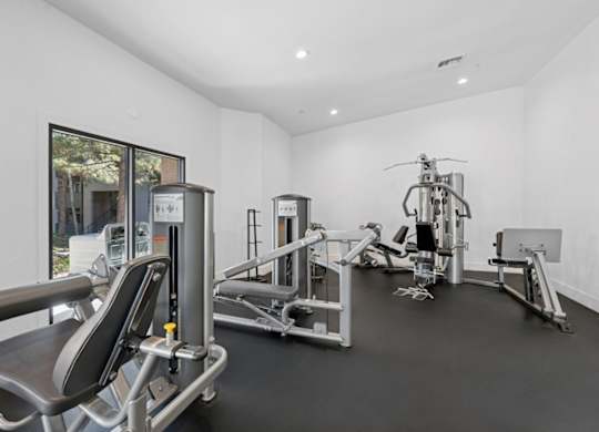 A gym with a variety of equipment including a leg press machine, a chest press machine, a leg curl machine, a leg extension machine, a seated calf raise machine, a leg press machine, a leg curl machine, a ch