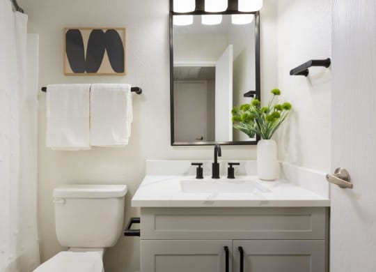 a bathroom with a sink and a toilet and a mirror