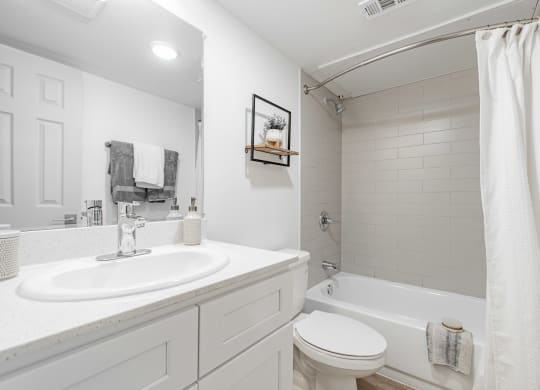 a bathroom with a sink and a toilet and a tub