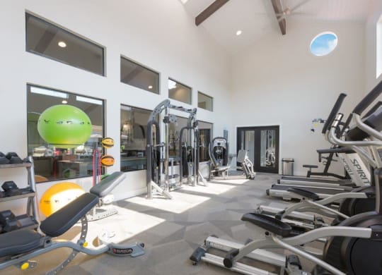 a gym with weights and a green ball on the floor