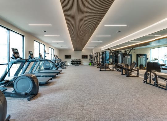 a gym with cardio machines and weights on the floor