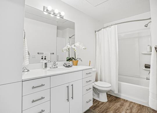 A white bathroom with a toilet, sink, and mirror.
