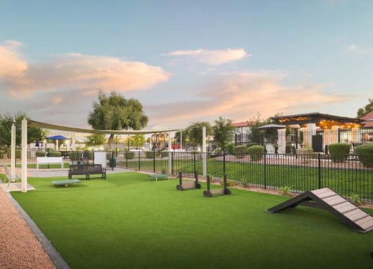 a dog park with agility courses and a fence