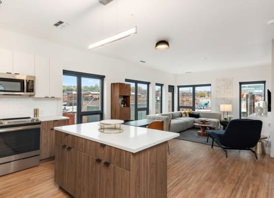 Arterra KC Kitchen and Living Room