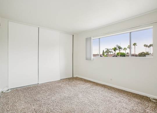 A room with white walls and carpeted floor with a window showing a view of palm trees.