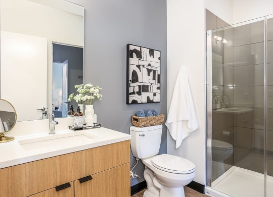 Arterra KC Bathroom