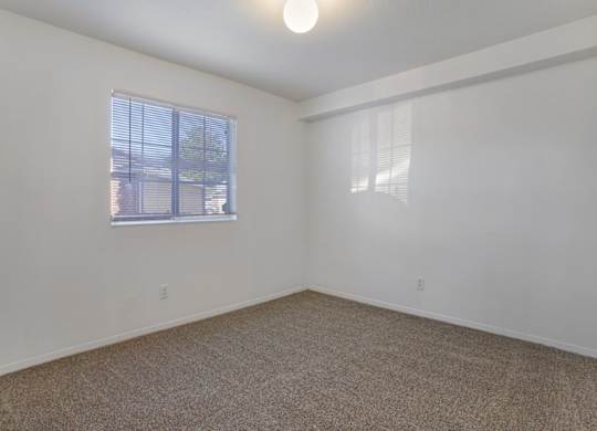 A room with a carpeted floor and a window with blinds.